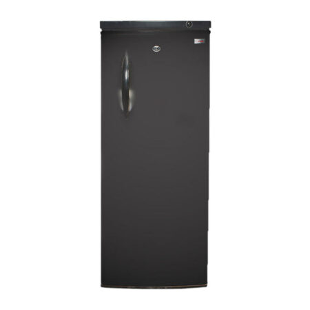 Gaba National Vertical freezer - GNF-250 DC